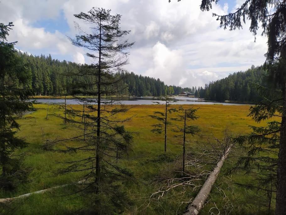 Апартаменти Apratman Julie - Bavorska Ruda Баєріш-Айзенштайн Екстер'єр фото